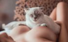 индивидуалочка, рост: 169, вес: 65 — элитные , г. Киев